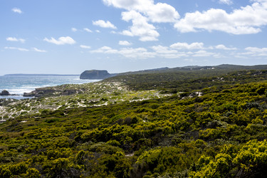 Similar image 21363555