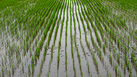 Similar image 21363556