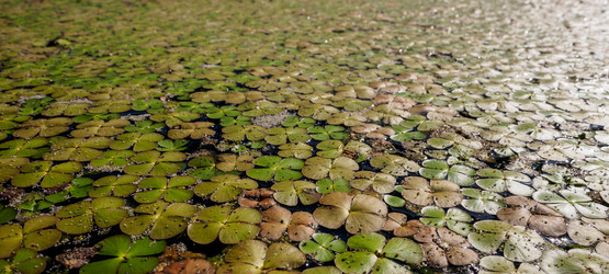 Similar image 21363562