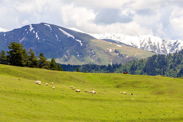 Similar image 21363566