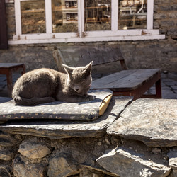 Similar image 21363573