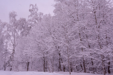 Similar image 21368843