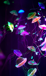 Similar image 21363481