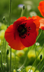 Similar image 21363482