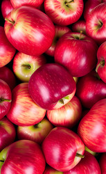 Similar image 21363493