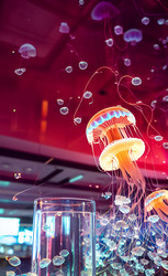 Similar image 21363487