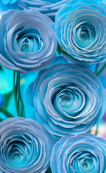 Similar image 21363495