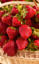 Similar image 21370737