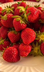 Similar image 21363503