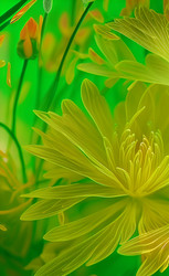 Similar image 21367369