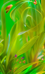 Similar image 21363504