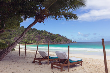 Similar image 21368933