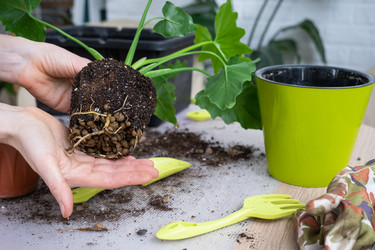 Similar image 21370222