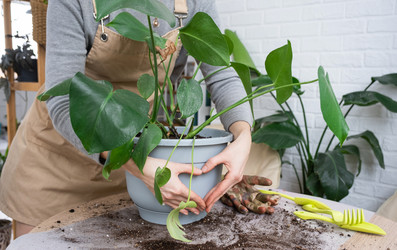 Similar image 21370246