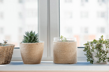 Similar image 21381496