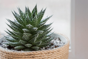 Similar image 21381497