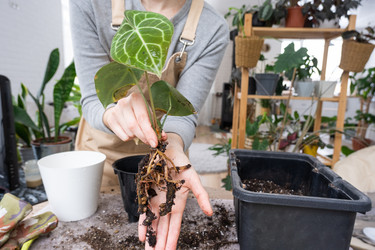 Similar image 21370496