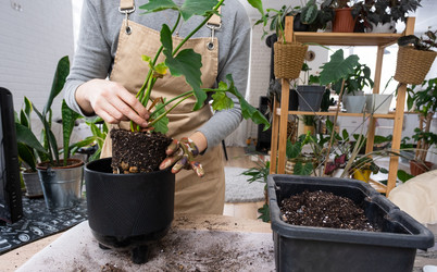 Similar image 21370500