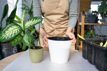 Similar image 21370515