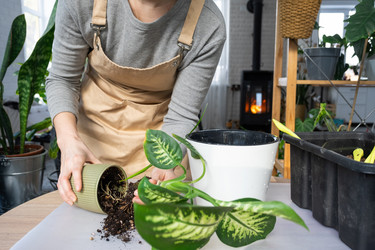 Similar image 21370517