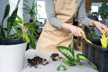 Similar image 21370523