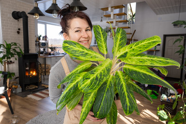 Similar image 21370524