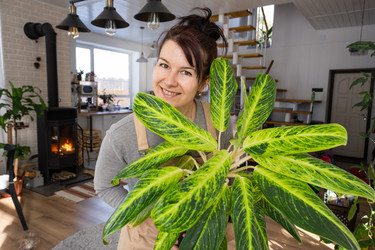 Similar image 21370526