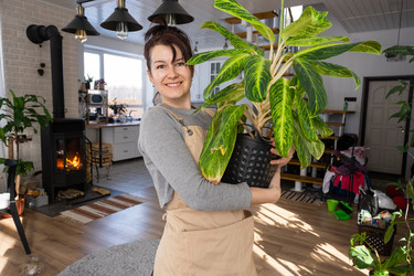 Similar image 21370532