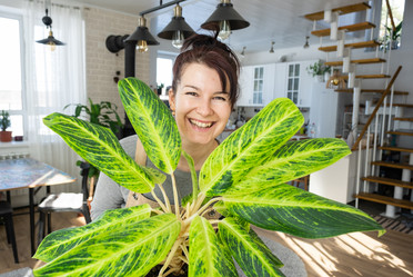 Similar image 21370536