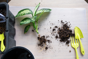 Similar image 21370539