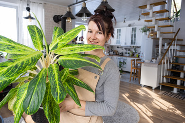 Similar image 21370540