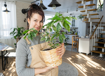 Similar image 21370741