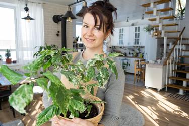 Similar image 21370745