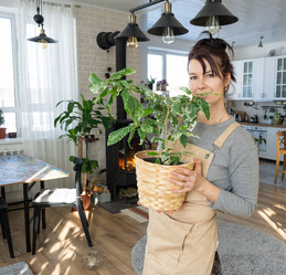 Similar image 21370747