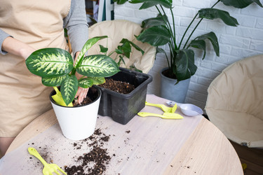 Similar image 21370261