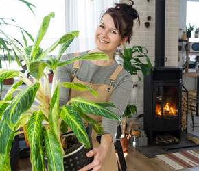 Similar image 21370262