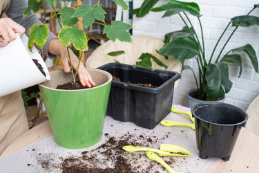 Similar image 21370269