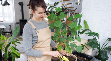 Similar image 21370277