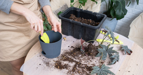 Similar image 21370279