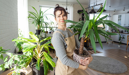 Similar image 21370288