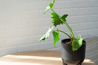 Similar image 21370308