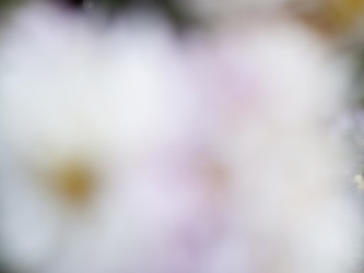 Similar image 21367007