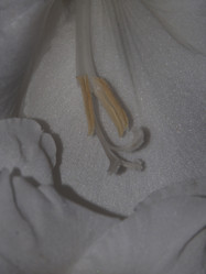 Similar image 21367008