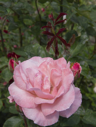 Similar image 21367013