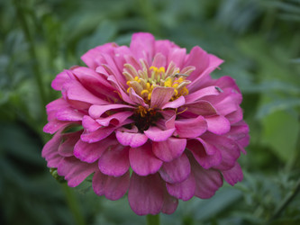 Similar image 21367015