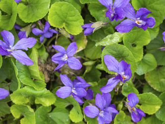 Similar image 21367017