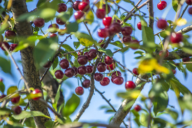 Similar image 21368939