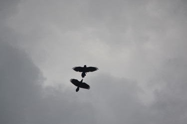 Similar image 21368940