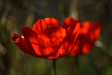 Similar image 21369146