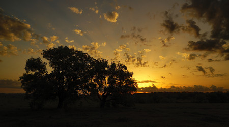 Similar image 21369149